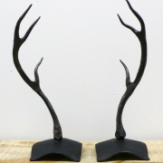 Table Antlers
